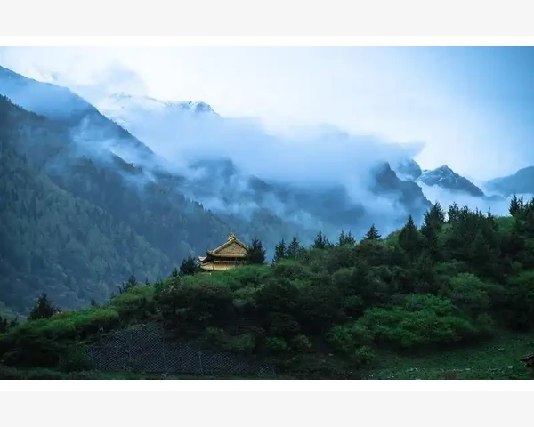 为什么举而不坚中途疲软？是什么原因导致的？